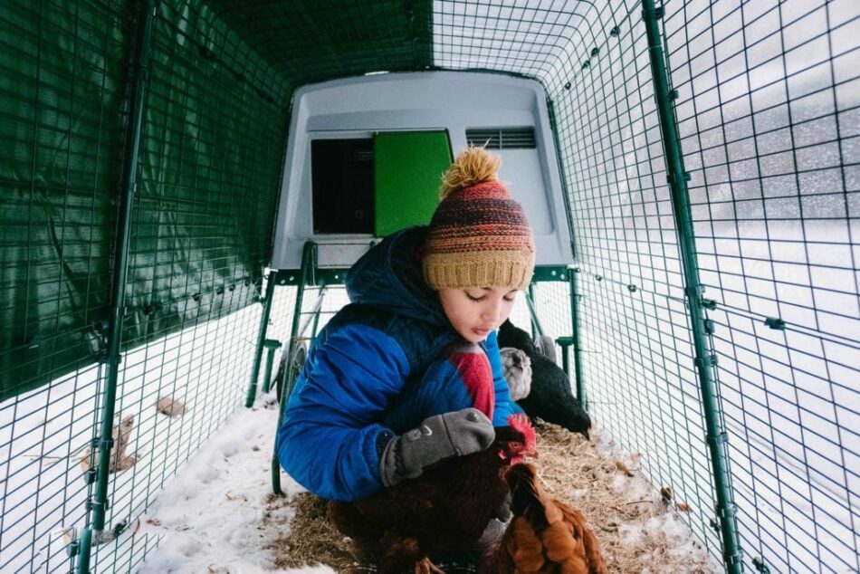 Un garçon dans un poulailler Eglu enneigé avec ses poules