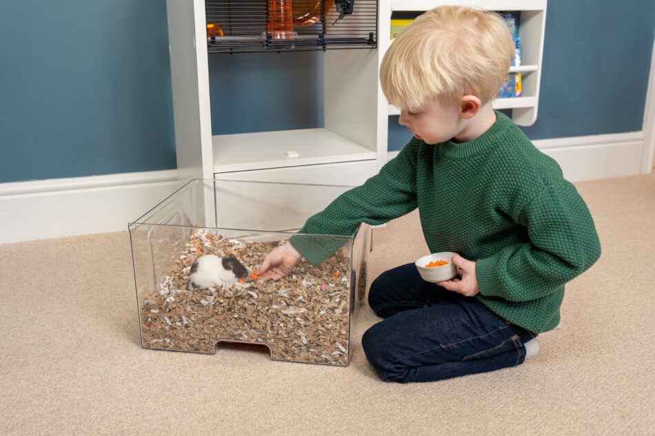 Garçon qui joue avec un hamster avec la cage pour hamster Qute d’Omlet derrière lui