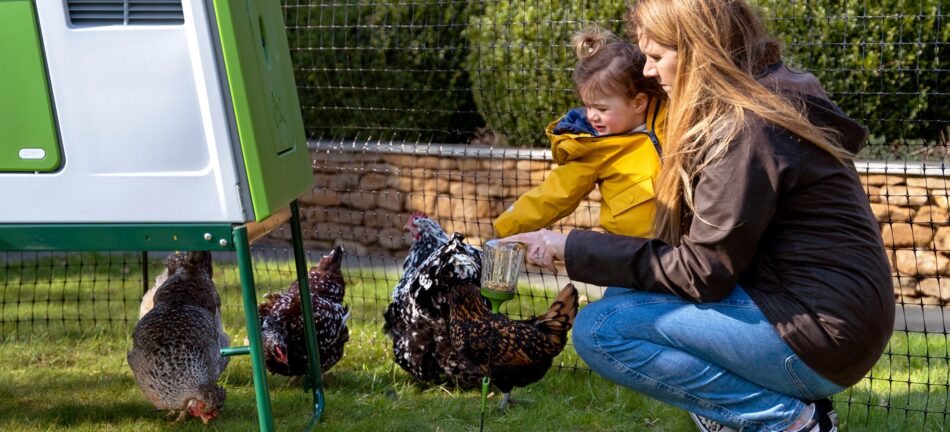 Fille et sa mère qui jouent avec leurs poules à l’extérieur du poulailler Eglu Cube d’Omlet 