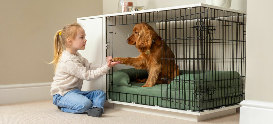 Fille qui tient la patte de son chien, assis dans la niche pour chien Fido Studio d’Omlet