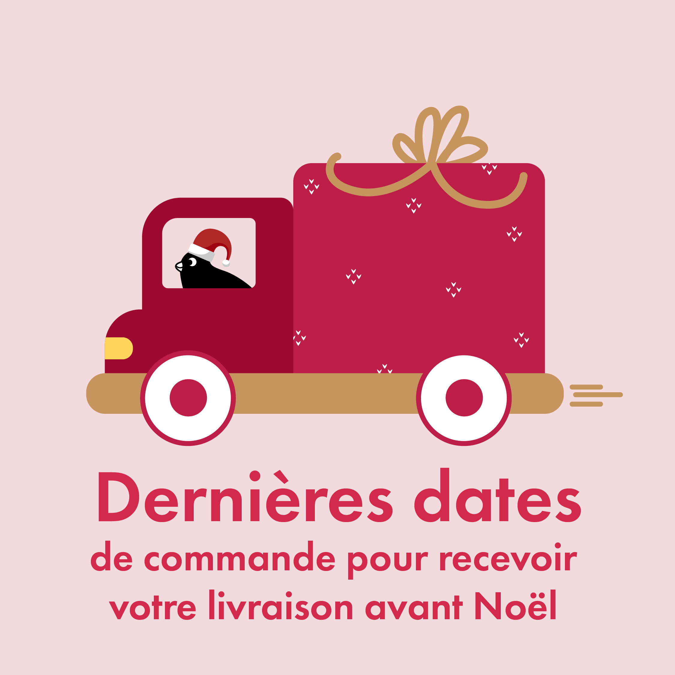 Dates limites de commande pour une livraison à temps pour Noël - Omlet Blog France