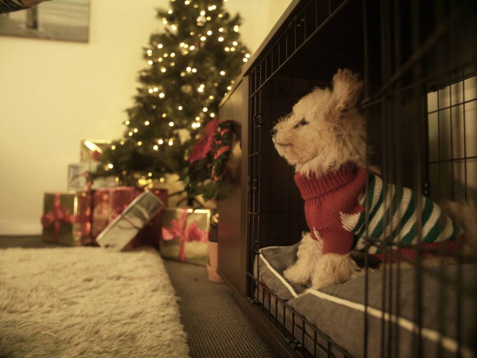 Un chiot assis dans une niche Fido marron avec un sapin de Noël en arrière-plan