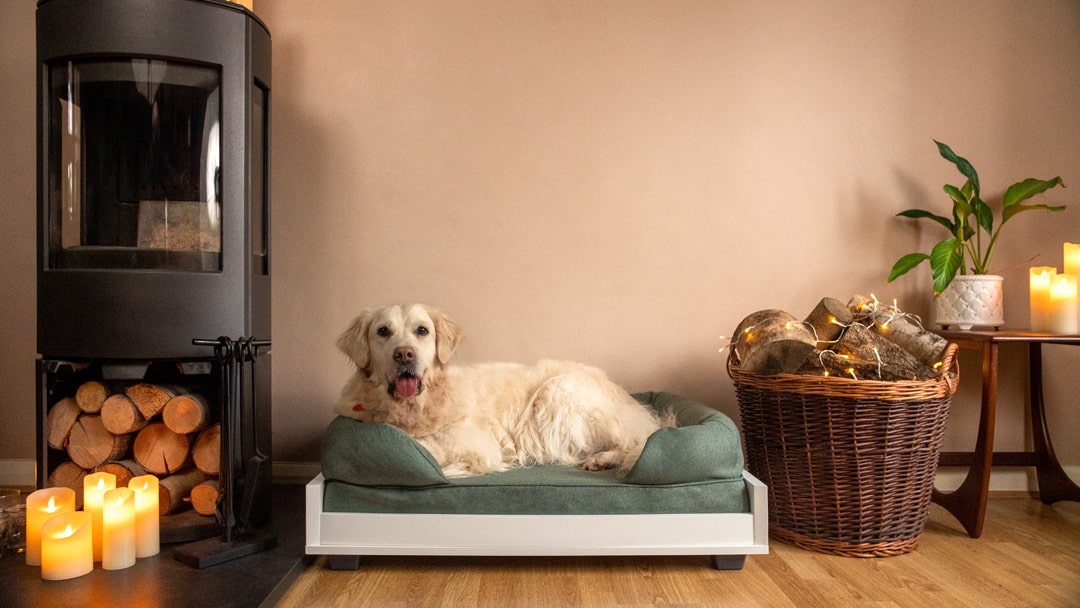 Un golden retriever couché sur un lit pour chien bleu de la marque Bolster d’Omlet