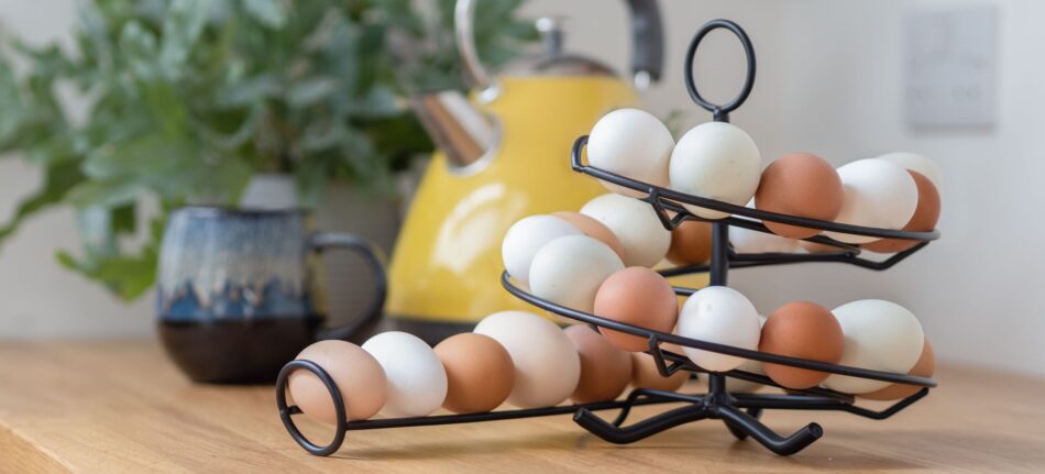 Œufs de différentes couleurs sur le présentoir à œufs d’Omlet
