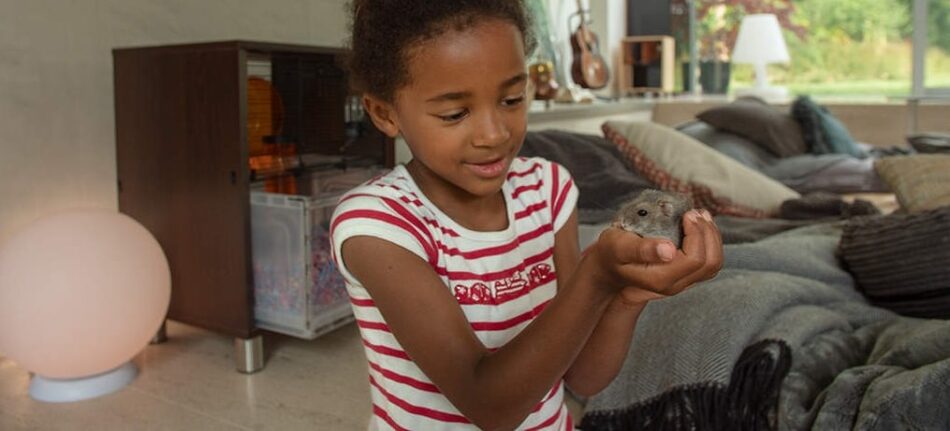 Une petite fille qui porte son hamster avec la cage Qute pour hamsters et gerbilles d’Omlet en fond