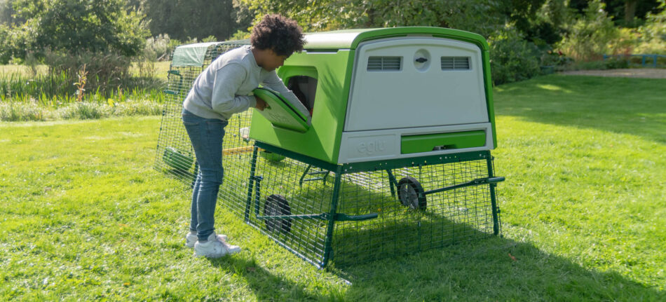 Garçon qui ramasse les œufs d’un poulailler Eglu Cube d’Omlet en été