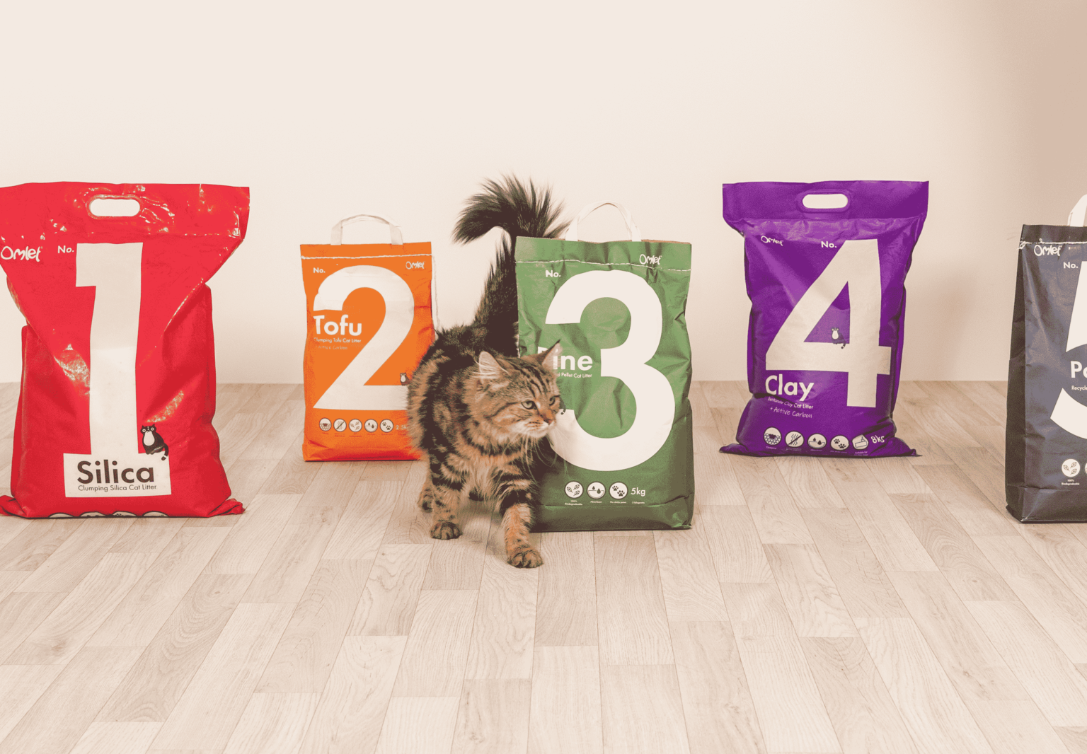 Comment dresser un chat à utiliser sa litière Omlet Blog France