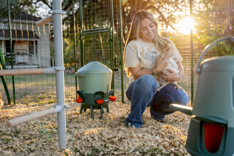 Femme qui tient une poule dans un Grand Enclos Omlet