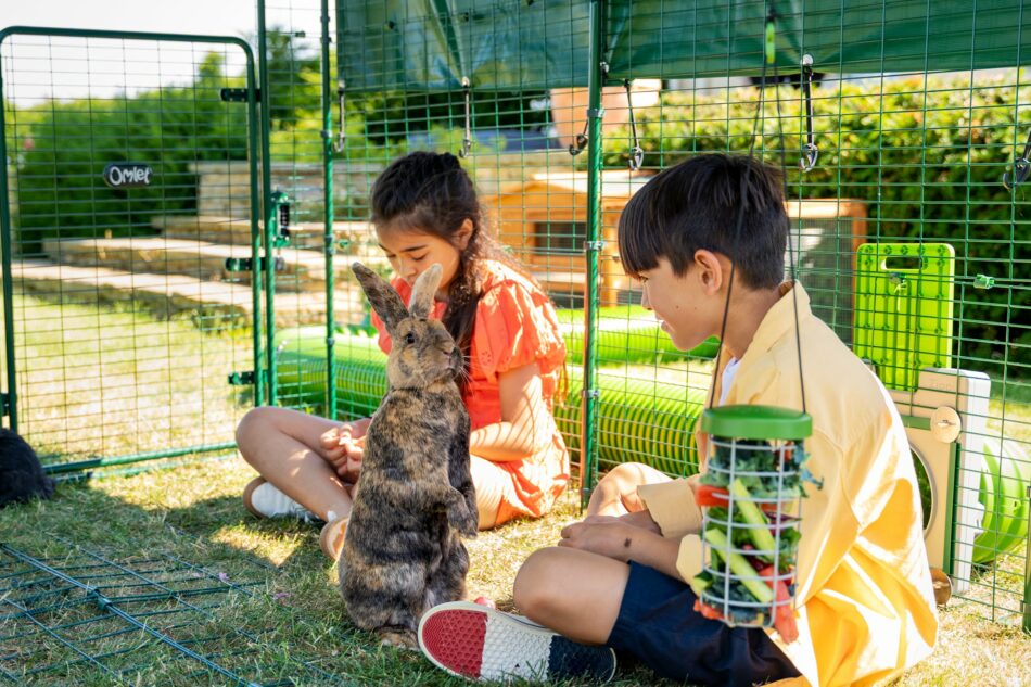Deux enfants à l’extérieur avec leur lapin dans l’enclos d’extérieur pour lapins d’Omlet
