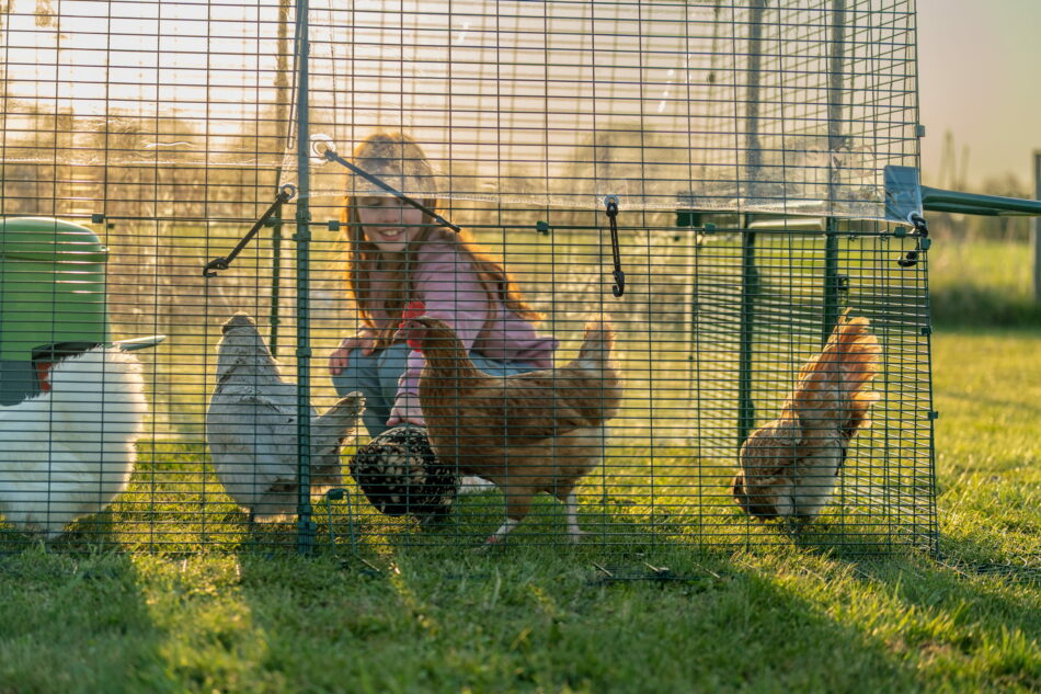 fille assise dans un enclos du poulailler Eglu Pro avec des poules autour d’elle