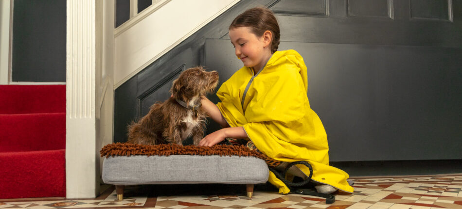 Fille qui regarde son chien sur le panier pour chien Topology d’Omlet