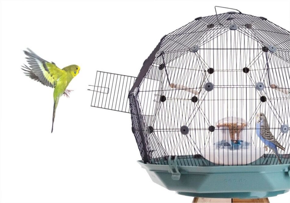 Oiseau jaune qui vole dans une cage à oiseaux Geo d’Omlet