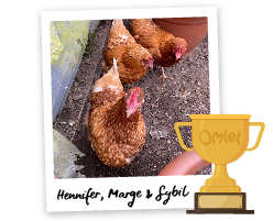 Pride of Omlet : un vrai soutien - Omlet Blog France