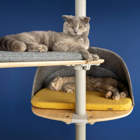 Deux chats qui se reposent sur l’arbre à chat Freestyle