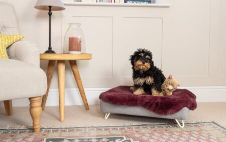 Chiot noir et marron assis sur un panier pour chien Topology d’Omlet avec un surmatelas en fausse peau de mouton couleur prune
