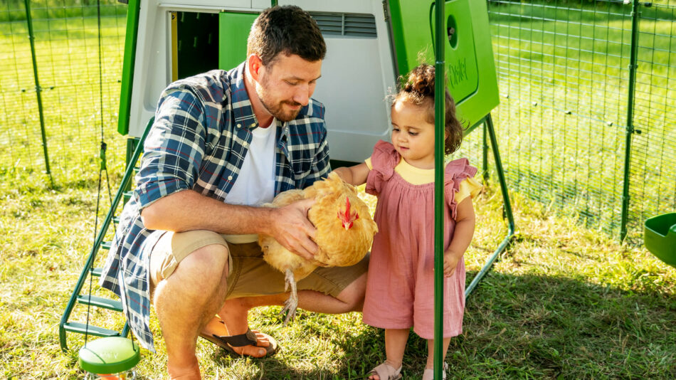 Enfant et homme qui porte une poule près du poulailler Eglu Cube