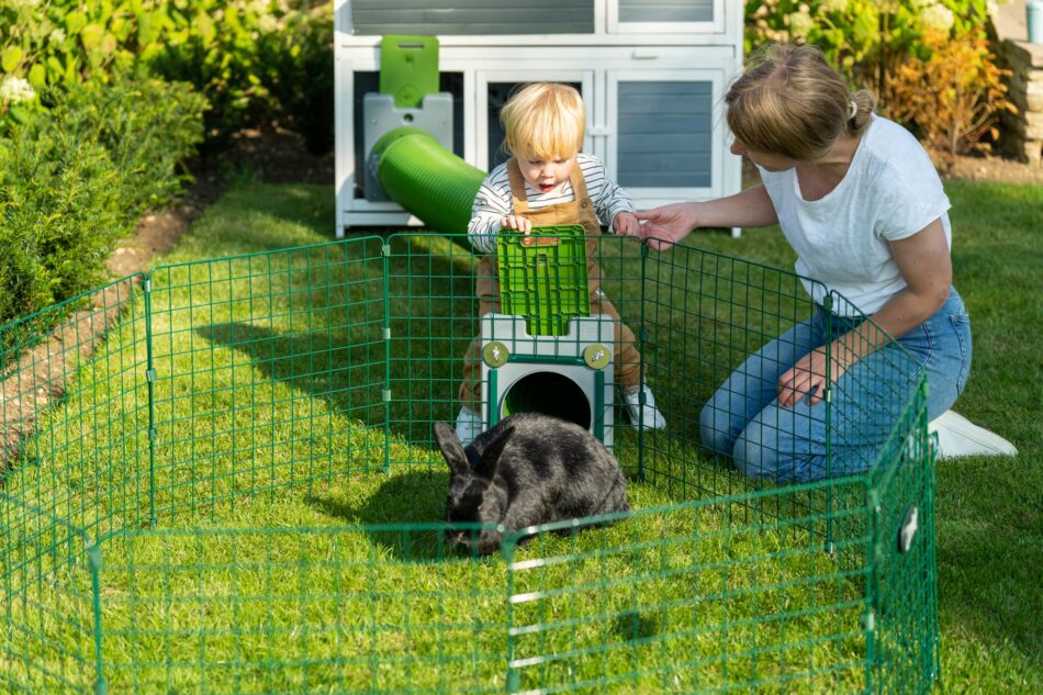 Propriétaire d’un lapin et son enfant avec leur lapin qui utilisent le système de tunnel pour lapin Zippi d’Omlet 