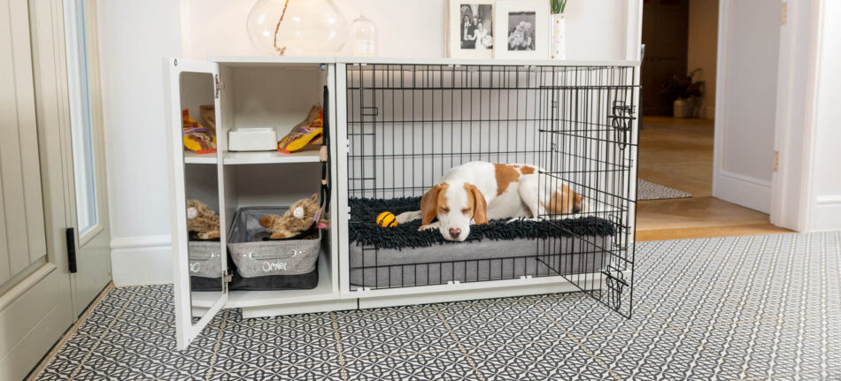 Chien couché à l’intérieur de sa cage pour chien Fido Studio d’Omlet