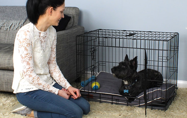 Chien noir dans la cage Fido Classic – le propriétaire sourit au chien