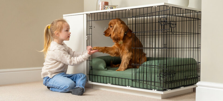 Fille qui tient la patte d’un chien, assis dans la niche pour chien Fido Studio d’Omlet