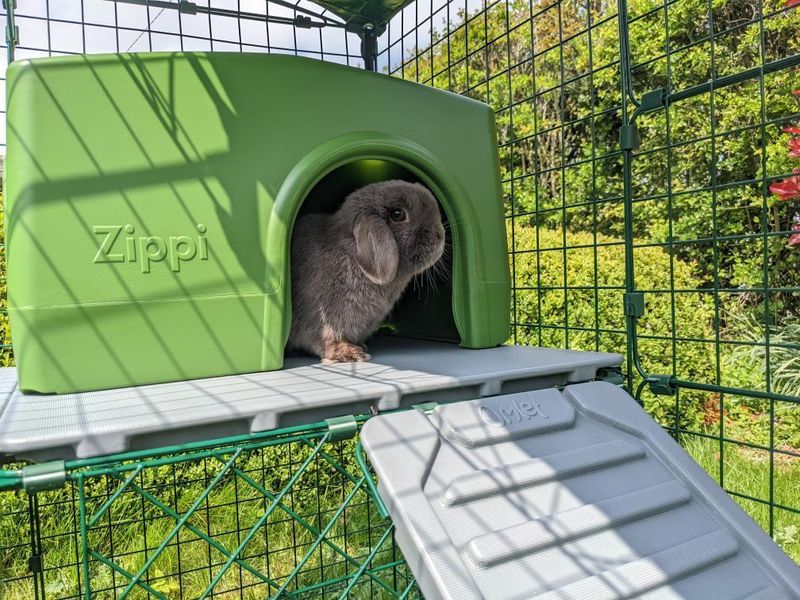 Lapin dans un abri Zippi vert sur une plateforme pour enclos pour lapins d’Omlet