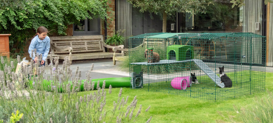 Fille dans un jardin avec des lapins qui utilisent la plateforme Zippi pour lapins d’Omlet