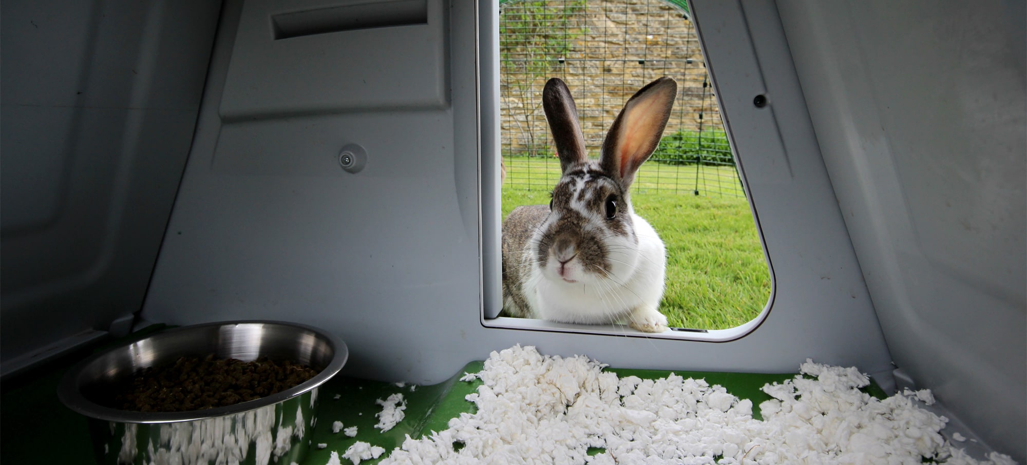 Garder votre maison propre avec des lapins d'intérieur - Omlet Blog France