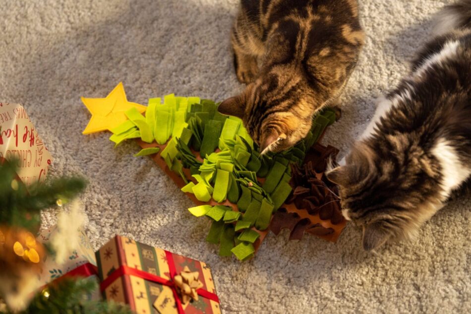 Deux chats à Noël qui jouent avec un jouet pour chat en forme de sapin de Noël