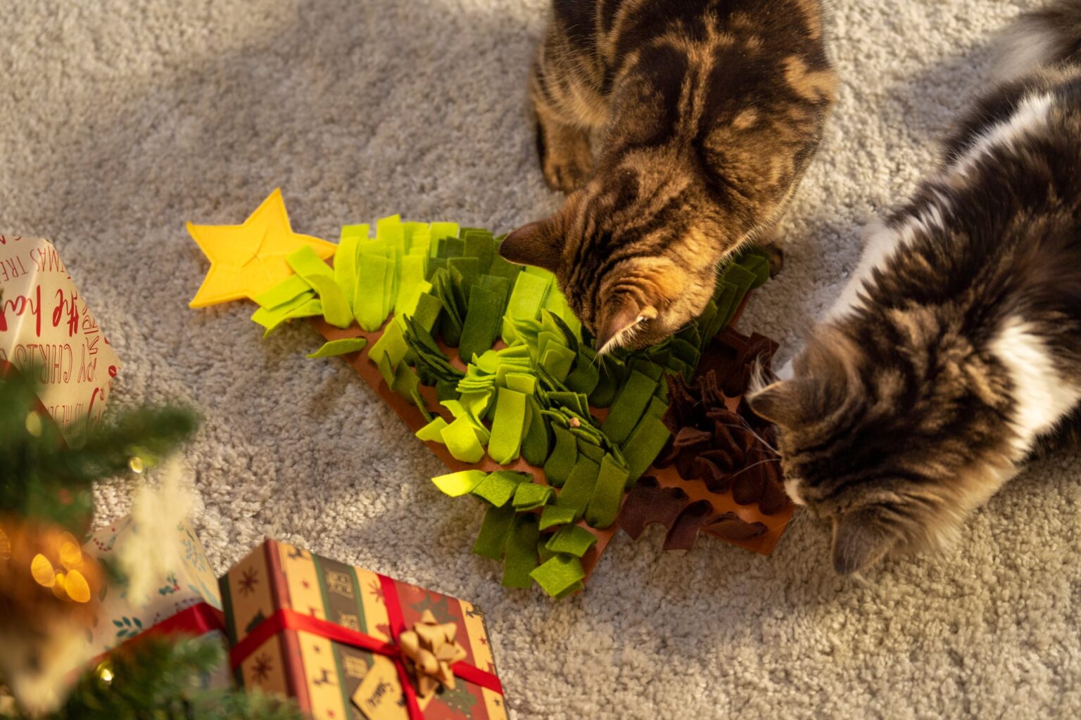 Deux chats qui jouent à Noël avec un jouet en forme de sapin de Noël