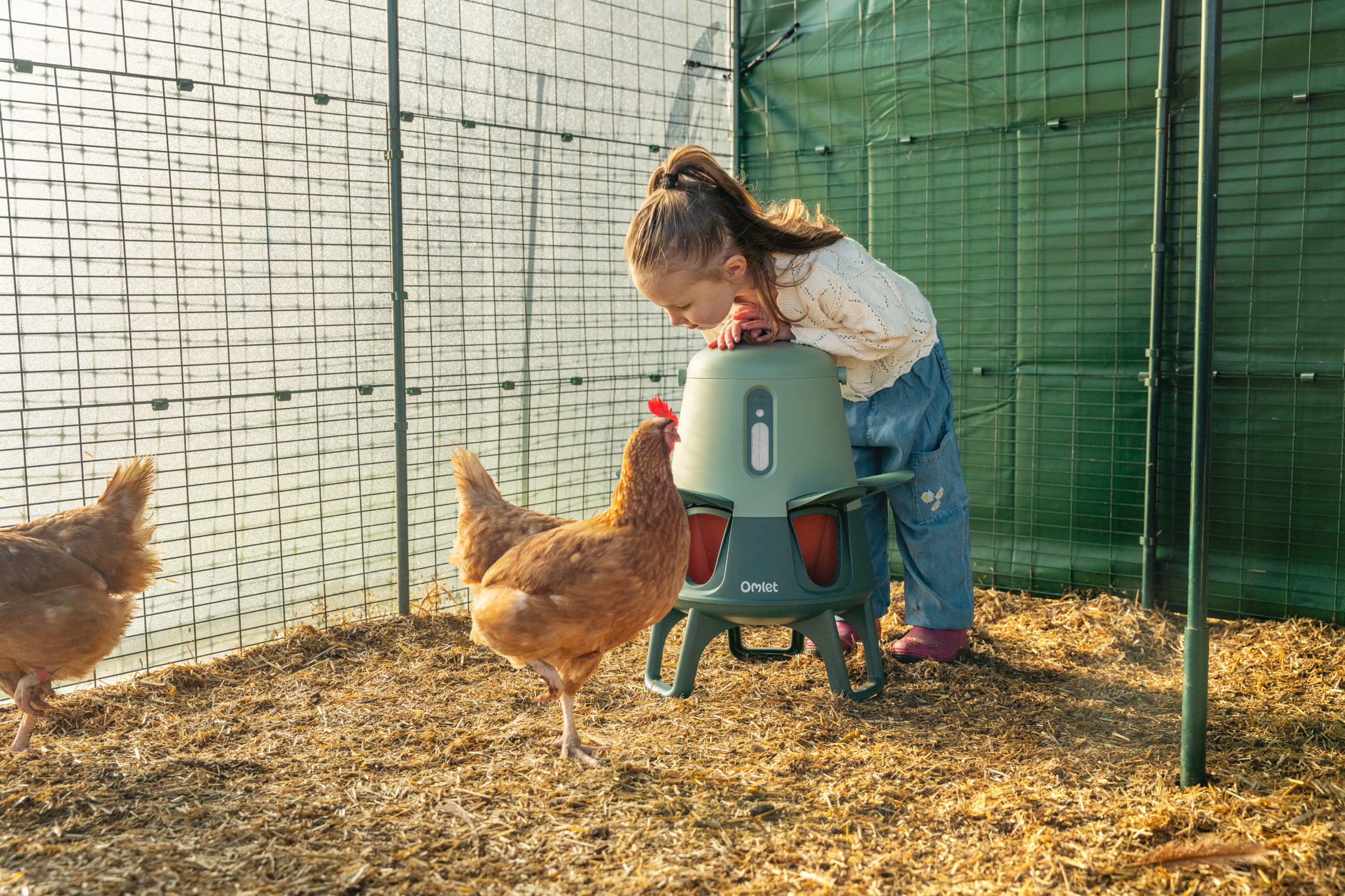 Fille penchée sur une mangeoire intelligente pour poules d’omlet dans un grand enclos pour poules avec des poules qui courent autour