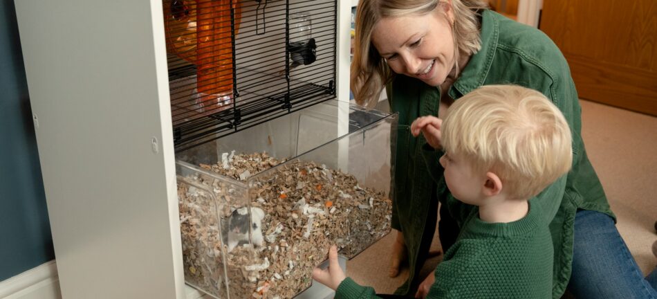 Garçon qui interagit avec un hamster dans la cage à hamsters Qute d’Omlet avec sa mère à côté  