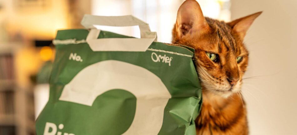 Réduire l’empreinte carbone des chats – chat qui se frotte au sac de litière pour chats Omlet copeaux de pin