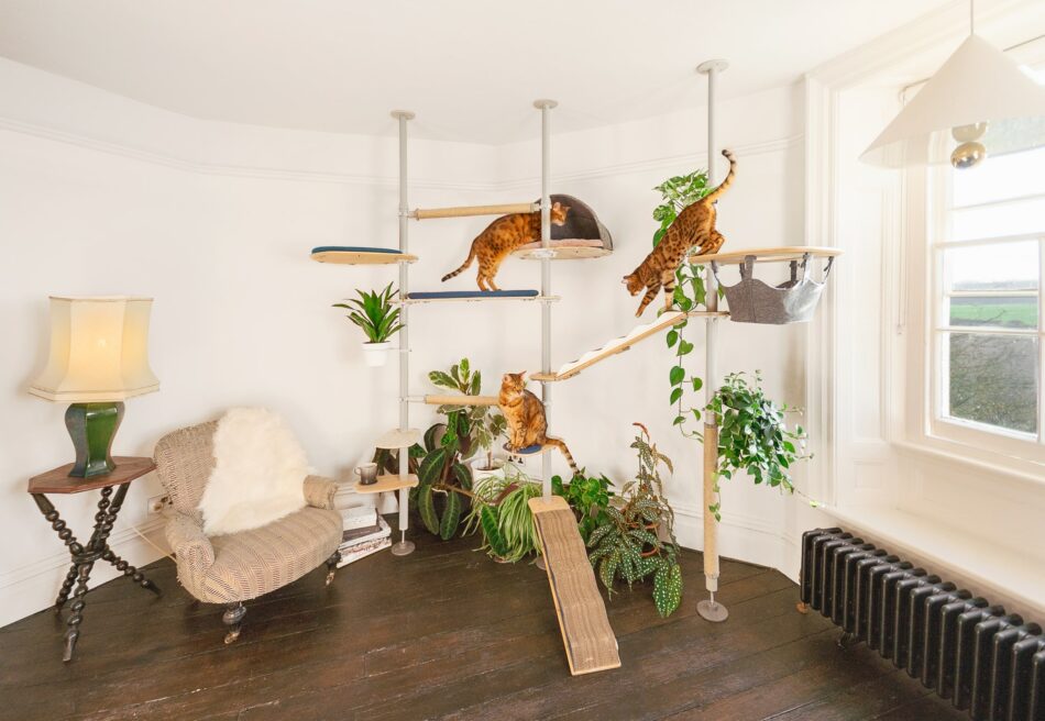 Trois chats qui utilisent l’arbre à chat d’intérieur Freestyle d’Omlet dans une maison 