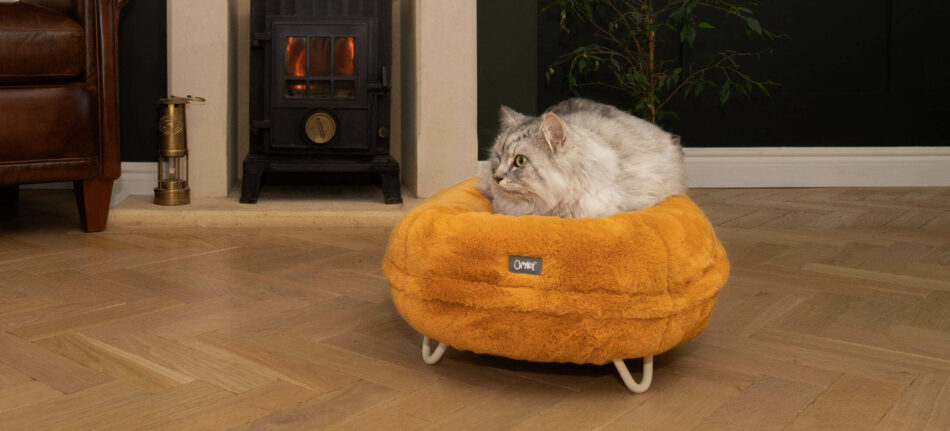 Chat blanc couché sur le panier pour chat Maya Donut d’Omlet