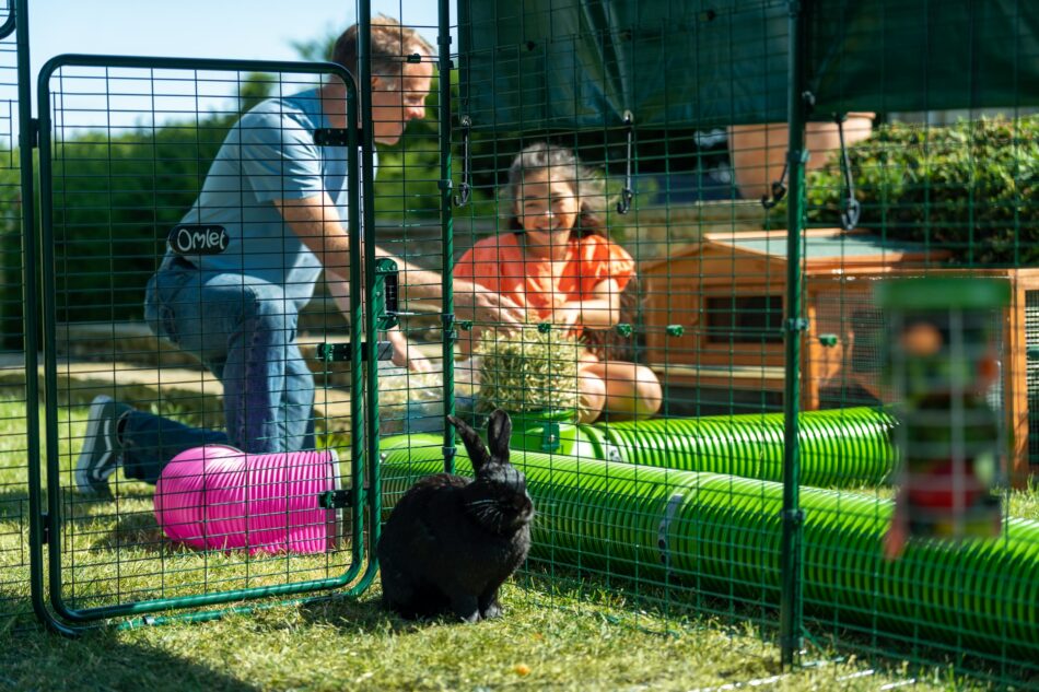Homme et fille à l’extérieur avec un lapin utilisant le système de tunnels pour lapins Zippi d’Omlet