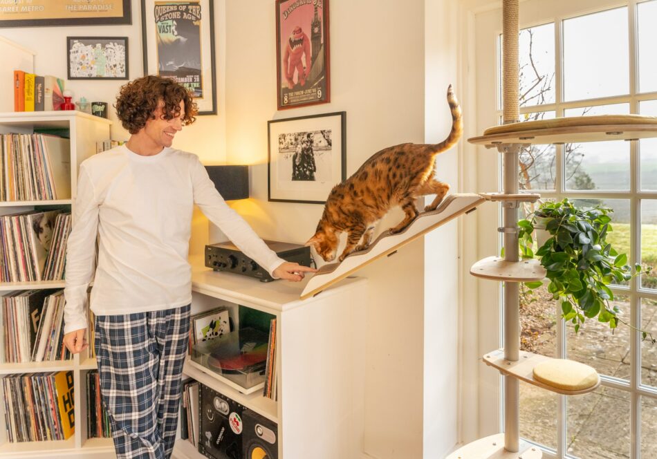 Homme avec son chat utilisant l’arbre à chat d’intérieur Freestyle d’Omlet 