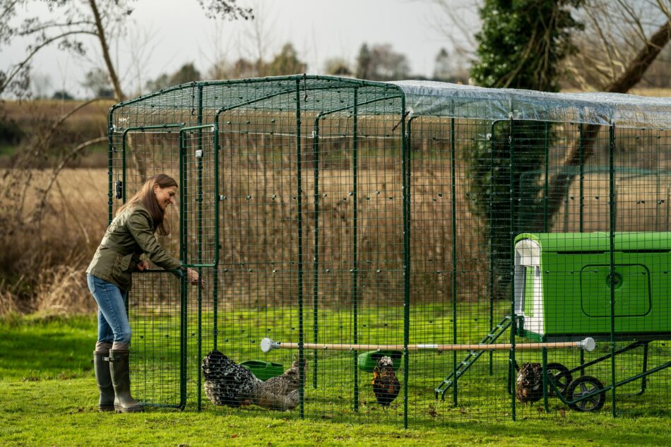 Une éleveuse de poules qui surveille ses poules dans le Grand Enclos pour poules d’Omlet