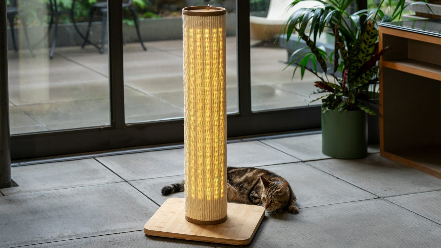 Griffoir Interactif Pour Chat Kittyspin - 3 Formes (tunnel, Grotte, Cercle) - Carton Ondulé Solide - 24x24x10cm - Avec Balle