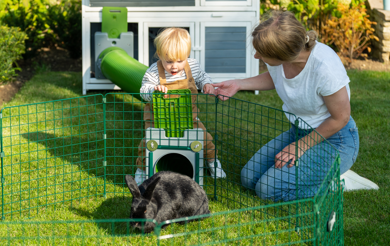 Tous les avantages d’avoir un lapin de compagnie - Omlet Blog France