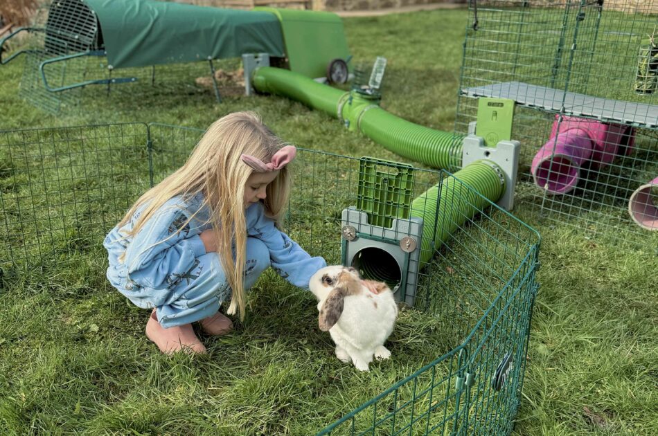 Omlet rencontre Shell Mills et ses enfants qui s’occupent de leurs lapins dans des tunnels et des parcs de jeu Zippi d’Omlet