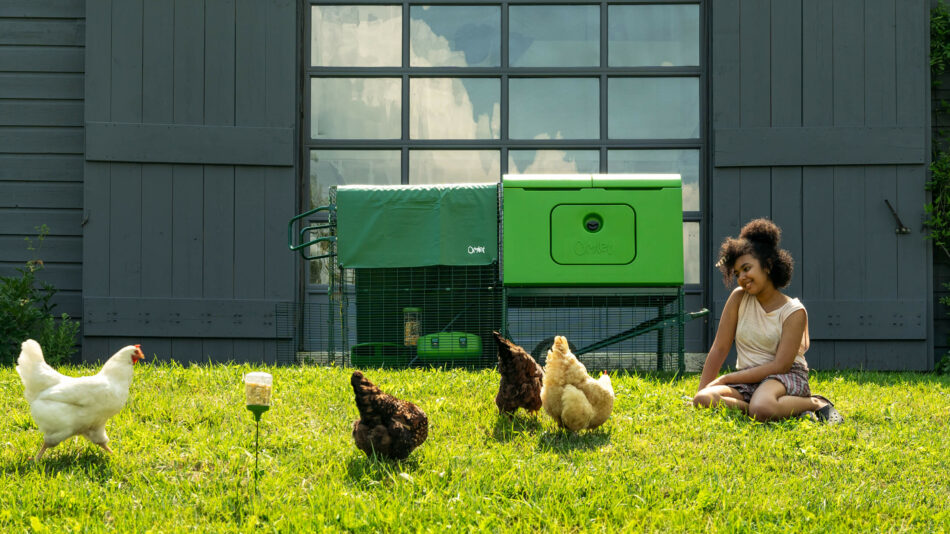 Fille assise dans une cour avec des poules en liberté près du poulailler Eglu Cube d’Omlet