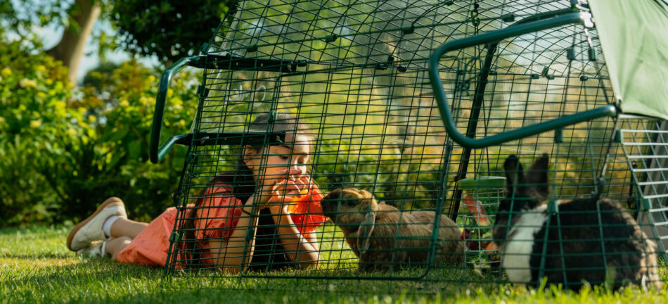 Fille qui donne de la pastèque à un lapin dans l’enclos du poulailler Eglu Go