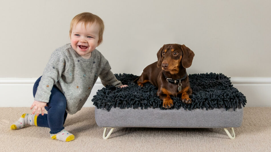 Enfant en bas âge avec un chien sur le panier Topology d’Omlet