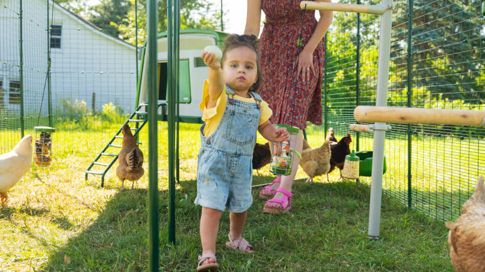 Enfant qui tient un œuf de poule à l’intérieur du Grand Enclos d’Omlet