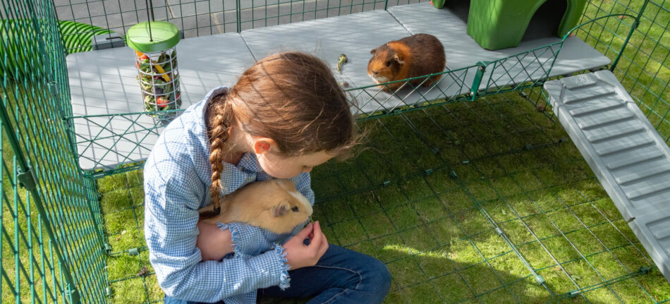 Fille qui fait un câlin à un cochon d’Inde dans le parc de jeu Zippi