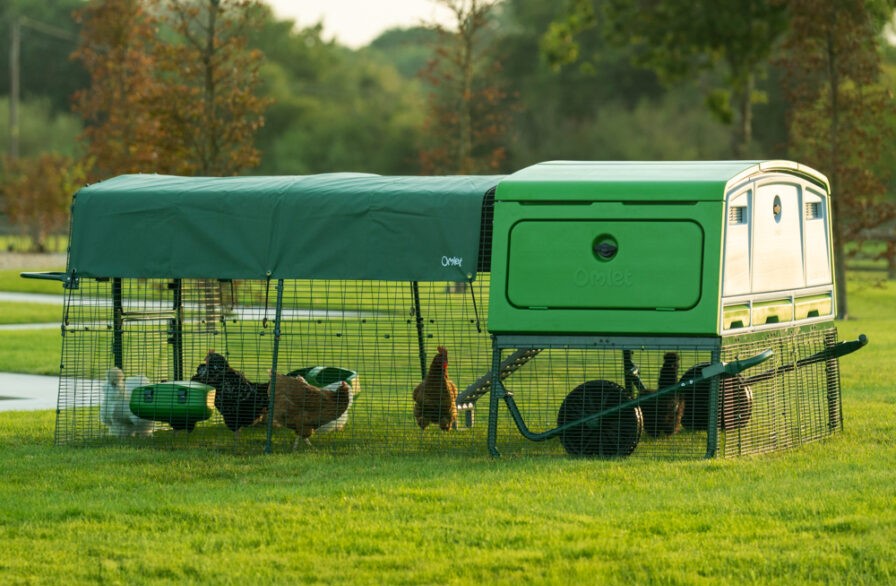 Poulailler Eglu Pro avec des poules dans un enclos attenant dans un jardin