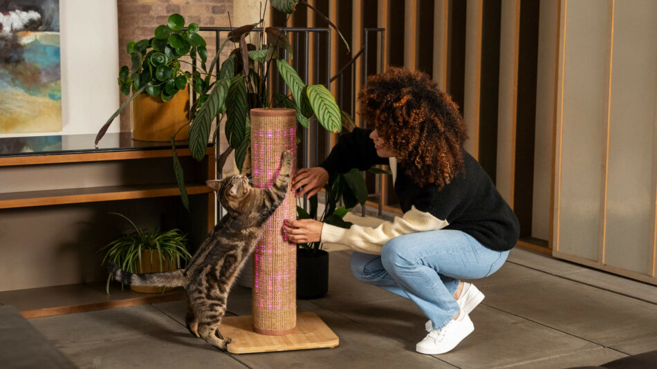 Femme qui joue avec un chat sur le griffoir pour chat Switch d’Omlet
