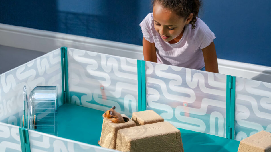 Fille qui regarde son hamster dans le parc de jeu pour hamster d’Omlet