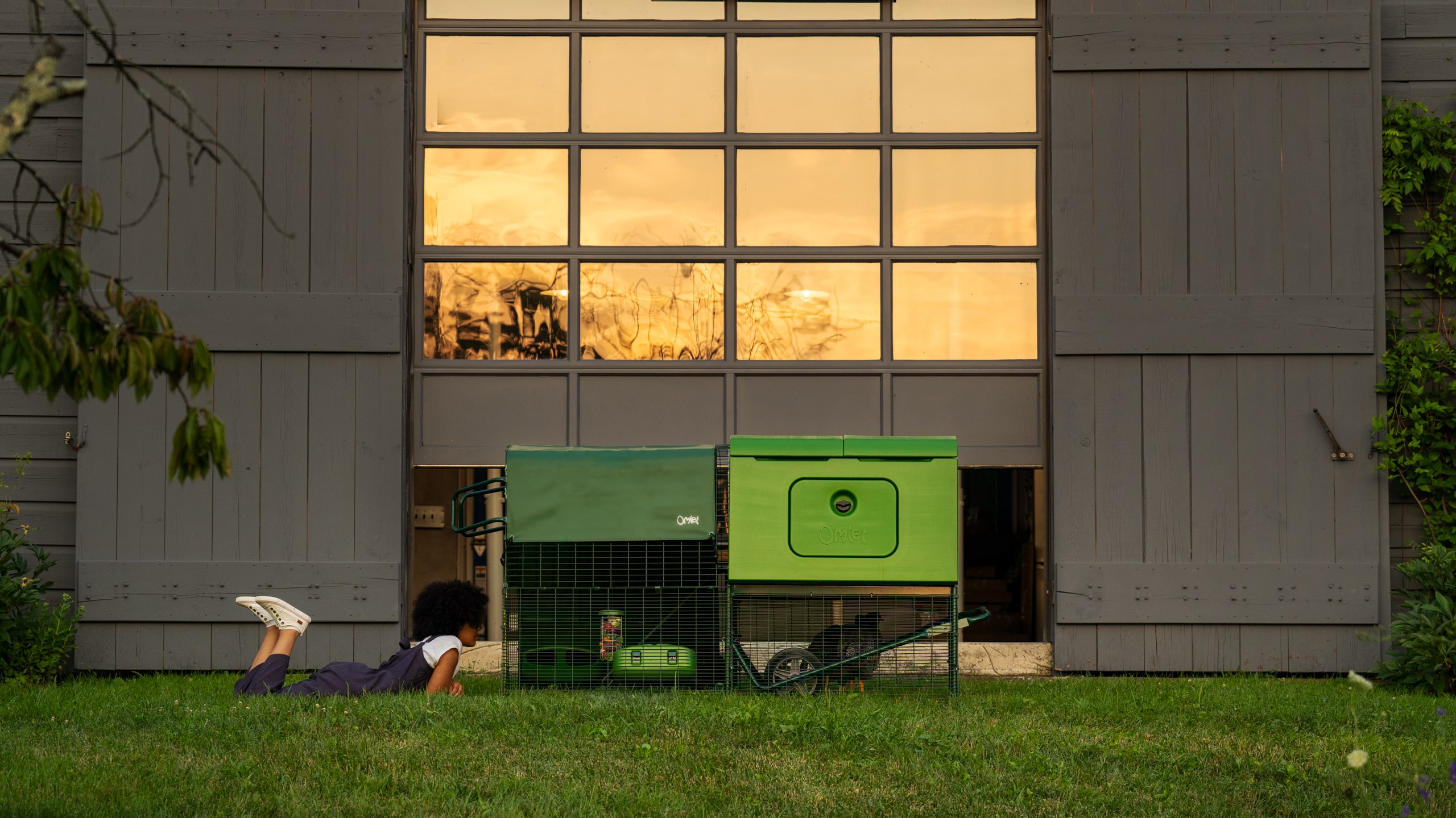 Fille qui regarde ses poules dans le poulailler Eglu Cube d'Omlet au crépuscule