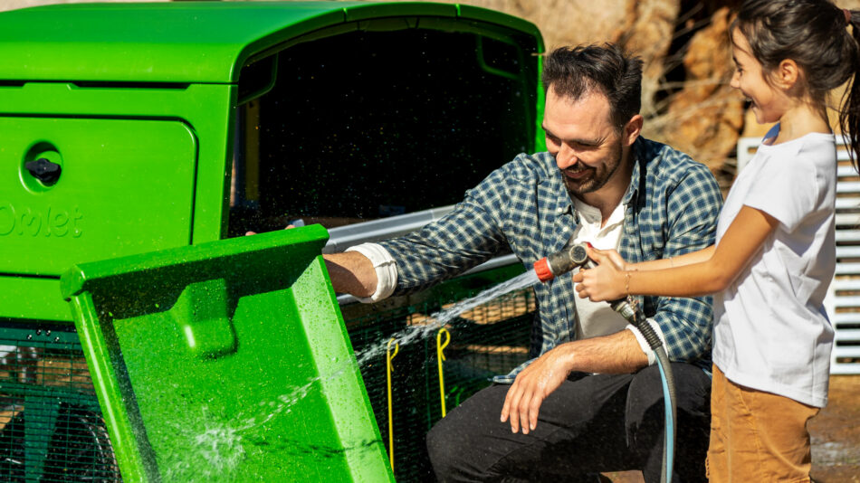 Un homme et une fille qui nettoient le bac à déjections du poulailler Eglu Pro d’Omlet au tuyau d’arrosage